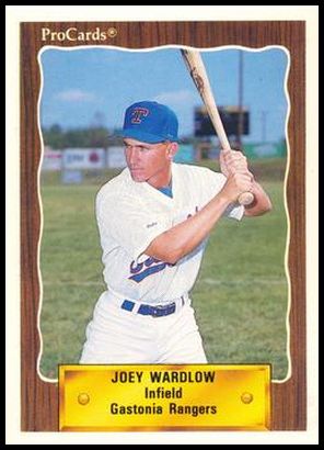 2531 Joey Wardlow
